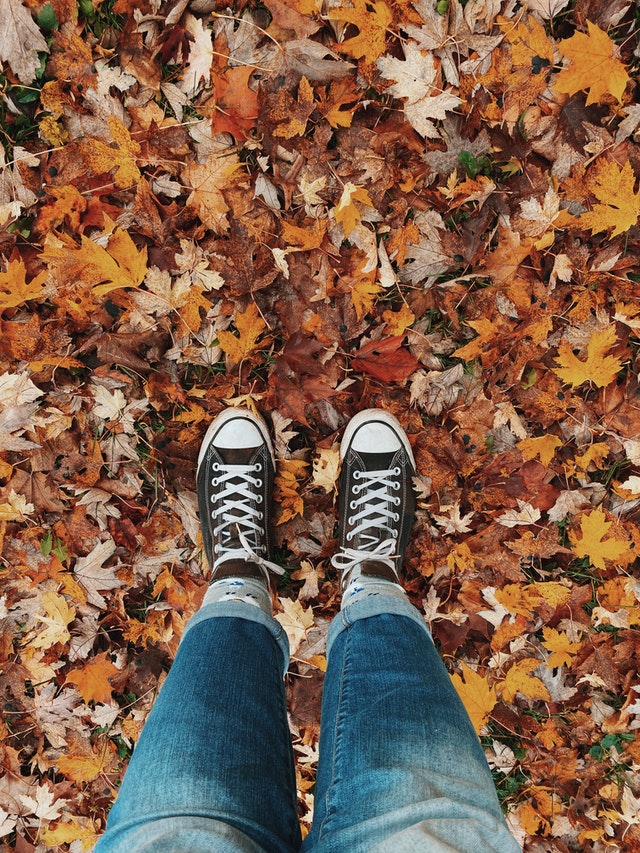 Island State of Mind standing in a pile of fall leaves