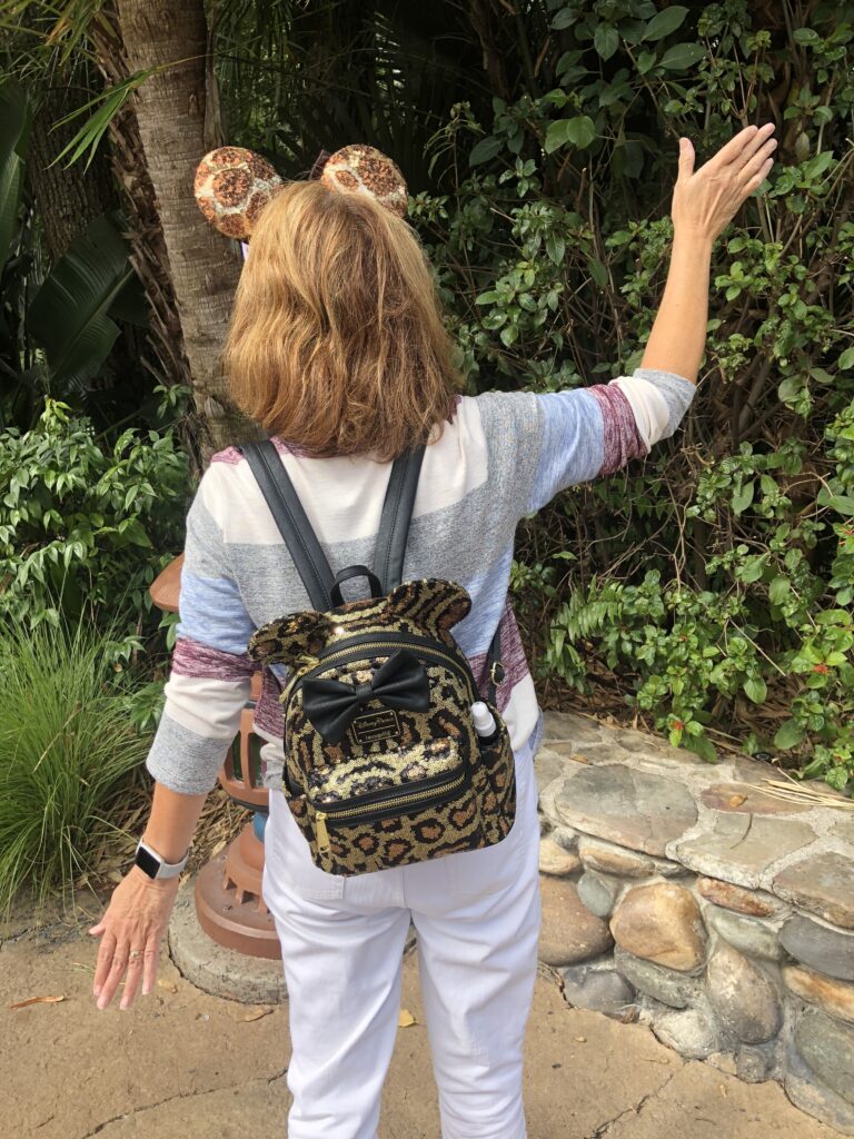 disney bag and disney ears at animal kingdom