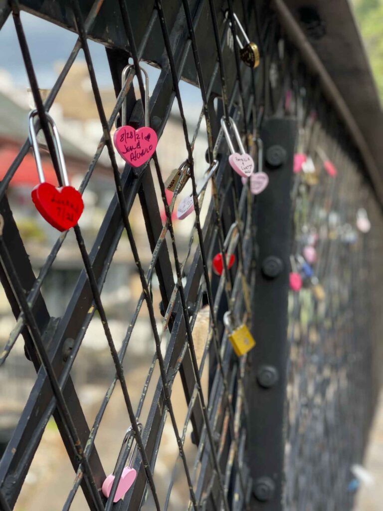 fence with locks