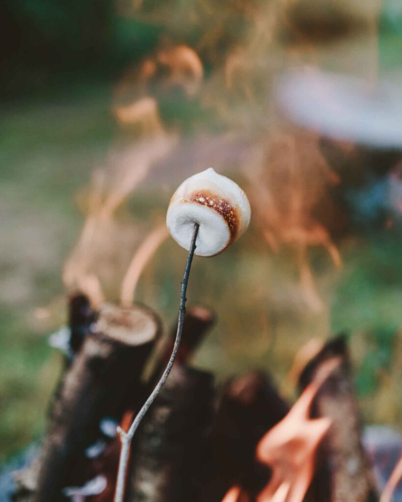 marshmallow roasting over an open fire