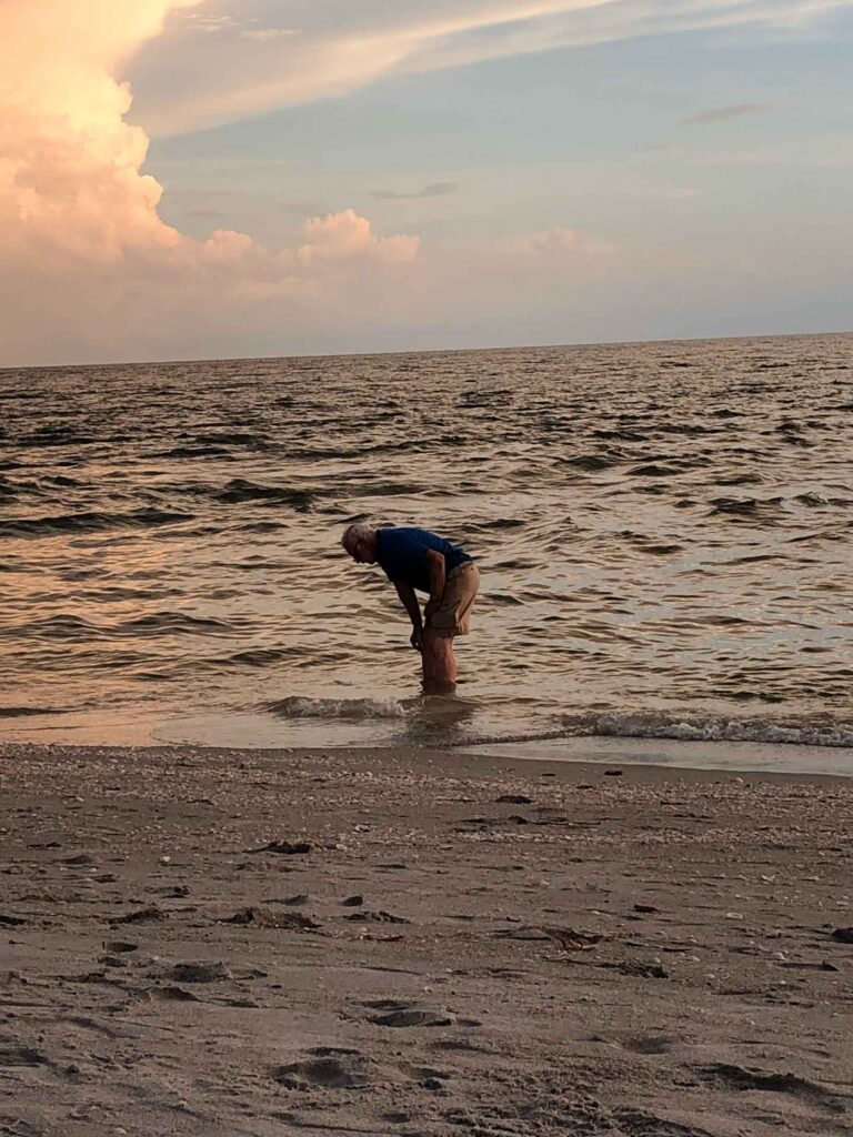 shelling on sanibel island