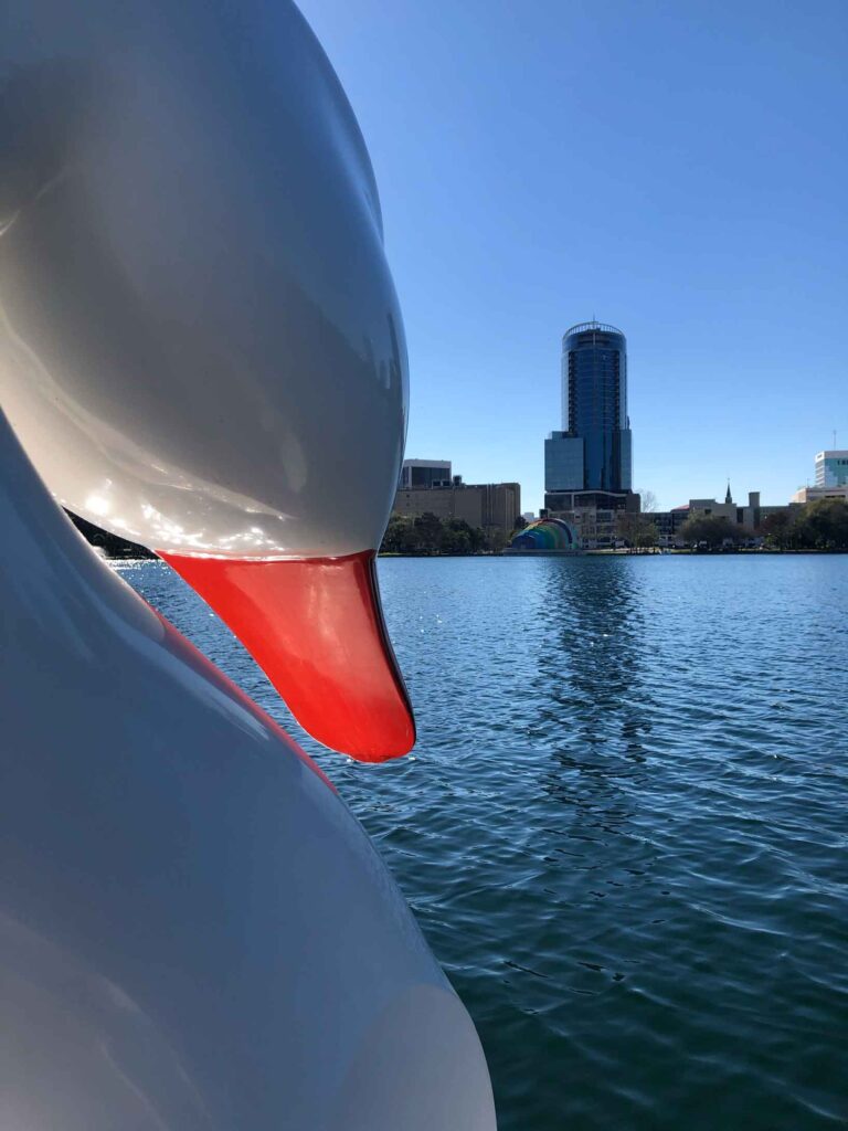 Swan Boat on Lake Eola