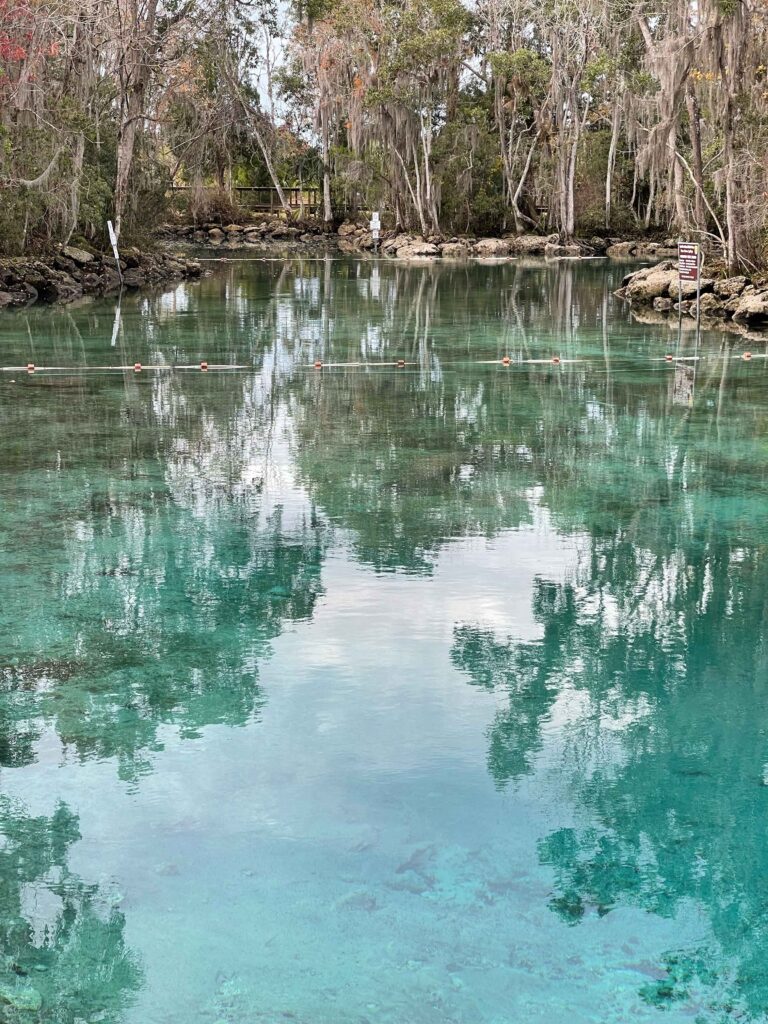 day trips from the villages fl A picture of Crystal River and the reflection of the trees